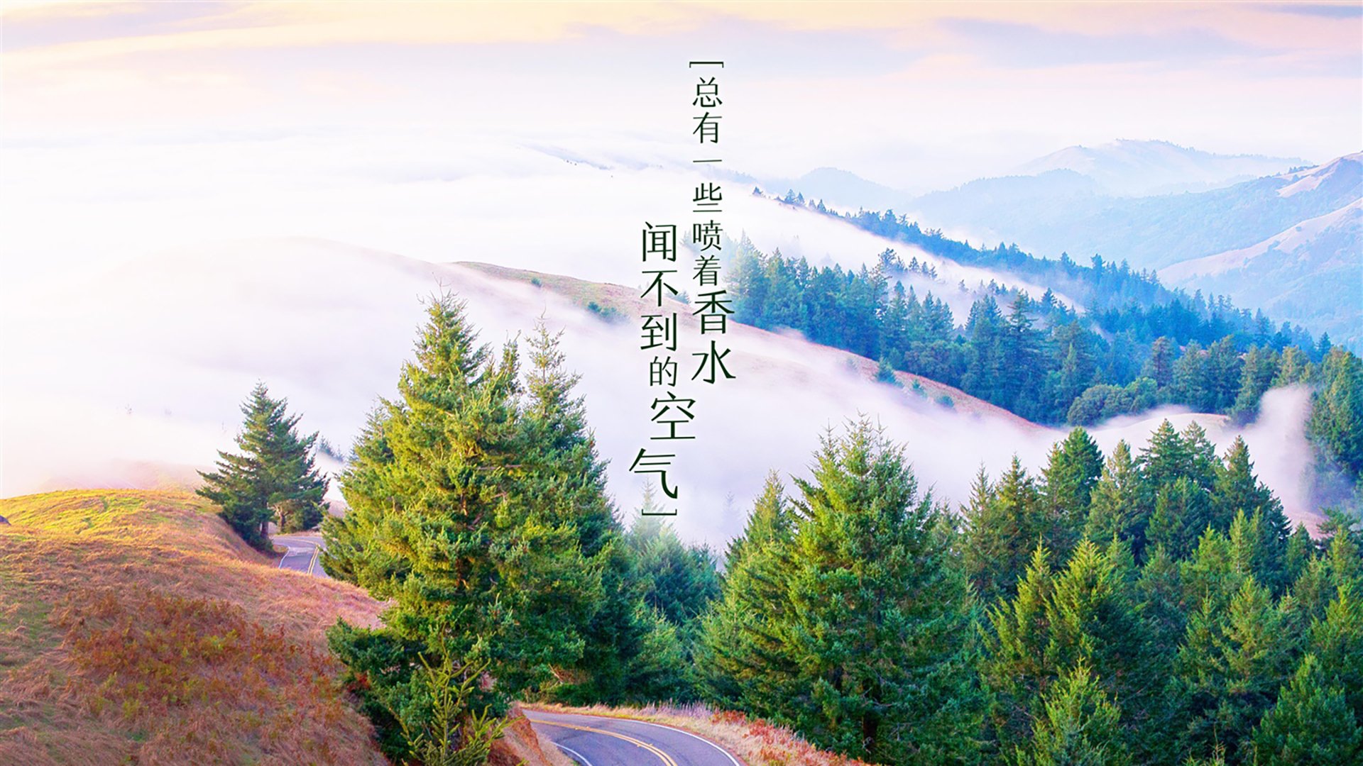 传统水袖舞狮比赛，文化盛宴里的运动魅力