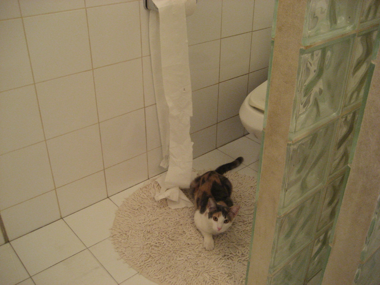 篮球赛事直播弹幕互动技术升级,篮球现场播报