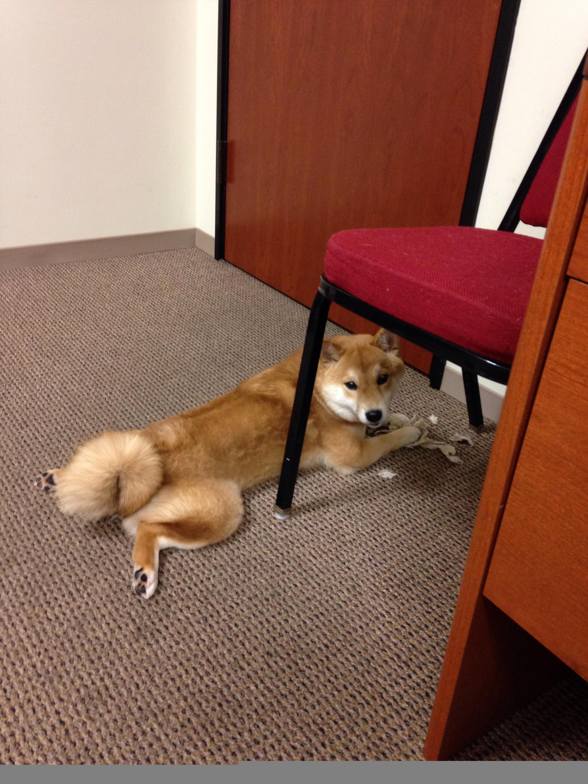 爱游戏体育官方网站-阿森纳2-1西汉姆，稳固前四位置，阿森纳3-3西汉姆联