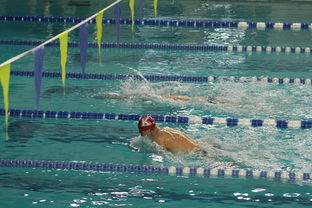 爱游戏官方-世界青少年游泳接力锦标赛中国队强势出击，世界游泳锦标赛接力决赛