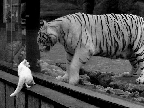 爱游戏体育app-法甲赛季中期球员伤病风险评估及预防机制研究，法甲阵容排行榜