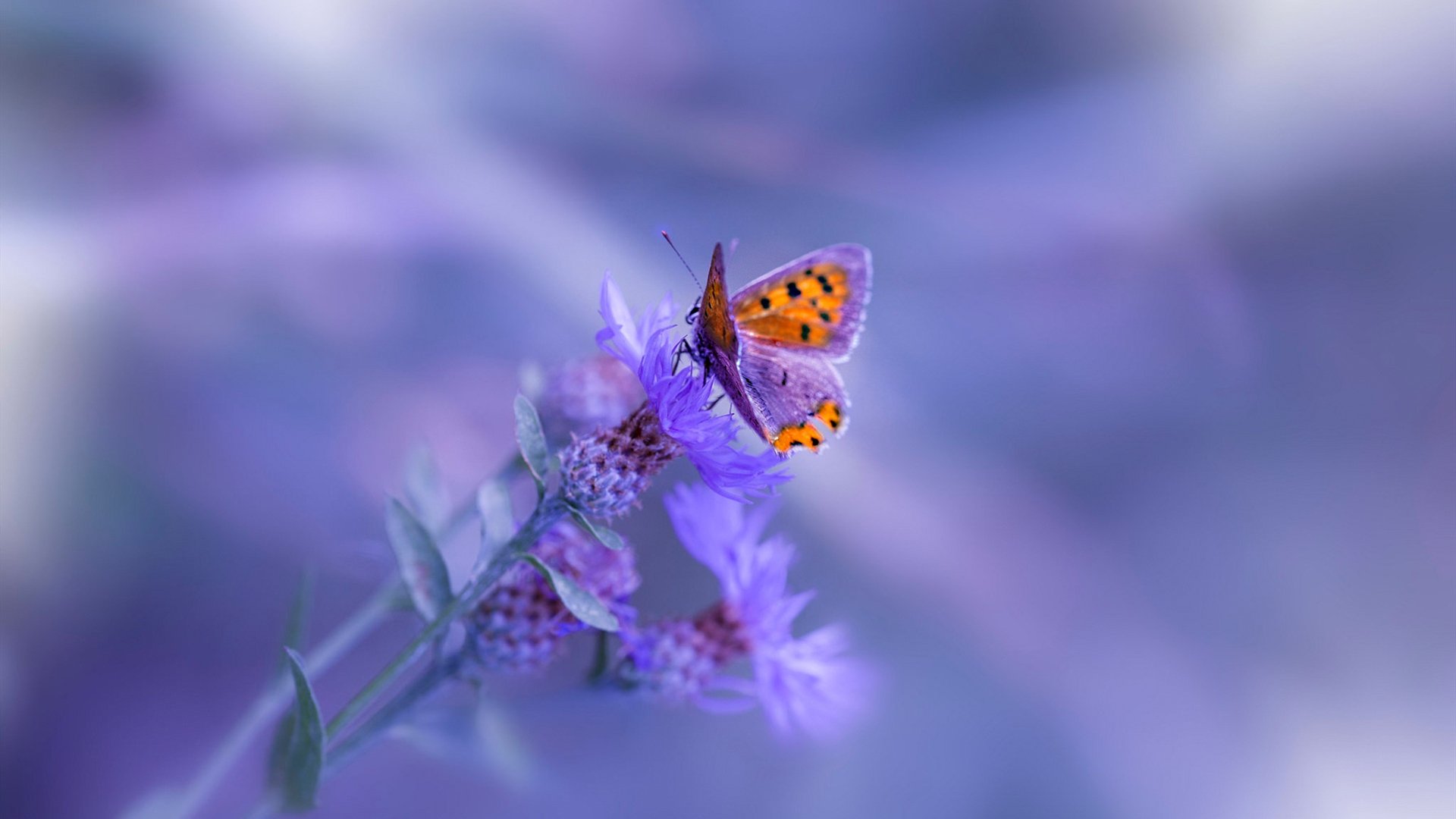 体育新闻中心启动体育赛事内容智能生成平台,体育赛事报道