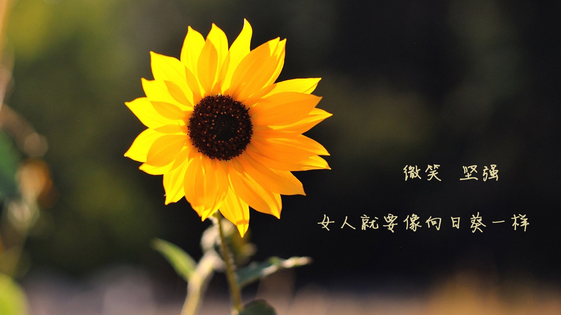 男子4x100混合接力破赛会纪录,4x400米混合接力赛回放