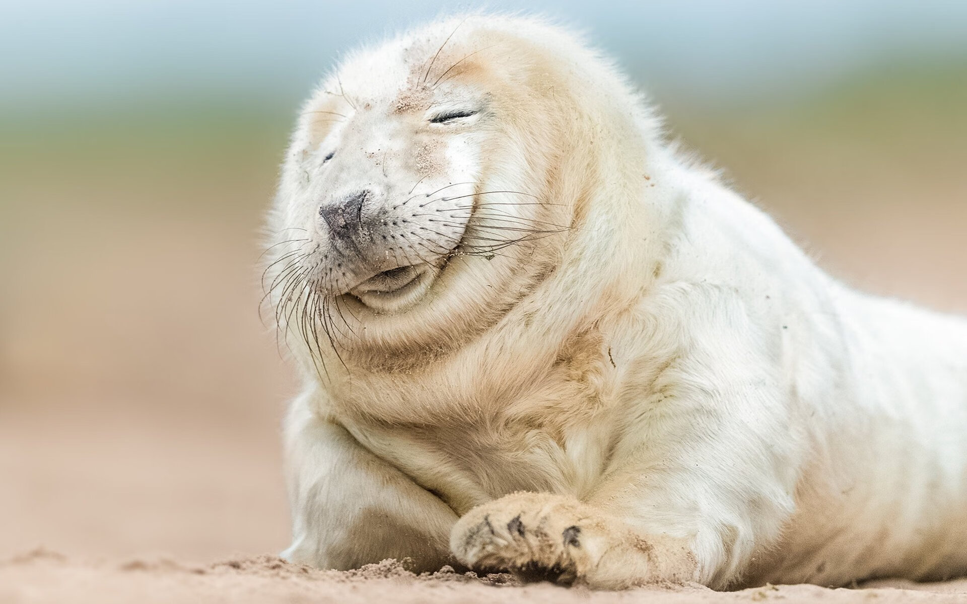 门将指挥防线成为额外战术点,门将防守站位是什么