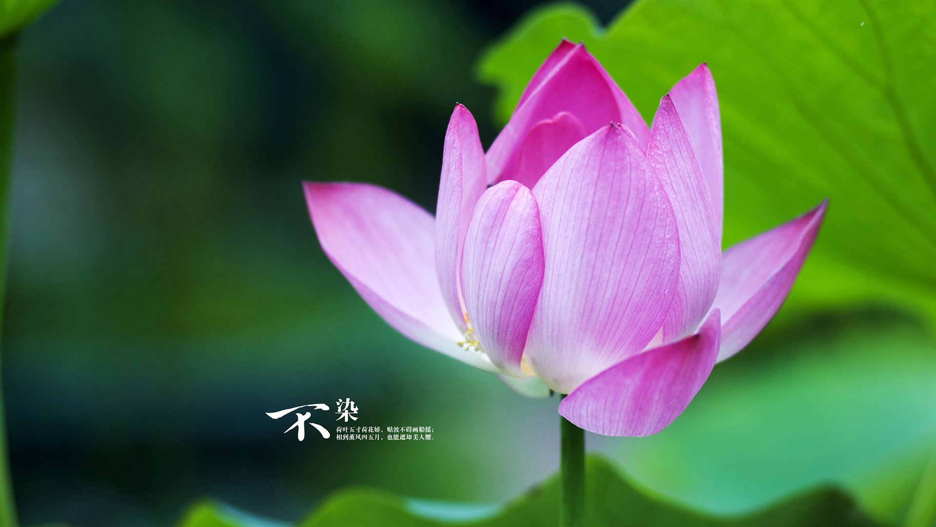 王楚钦反手狂攻展现统治力，王楚钦正手