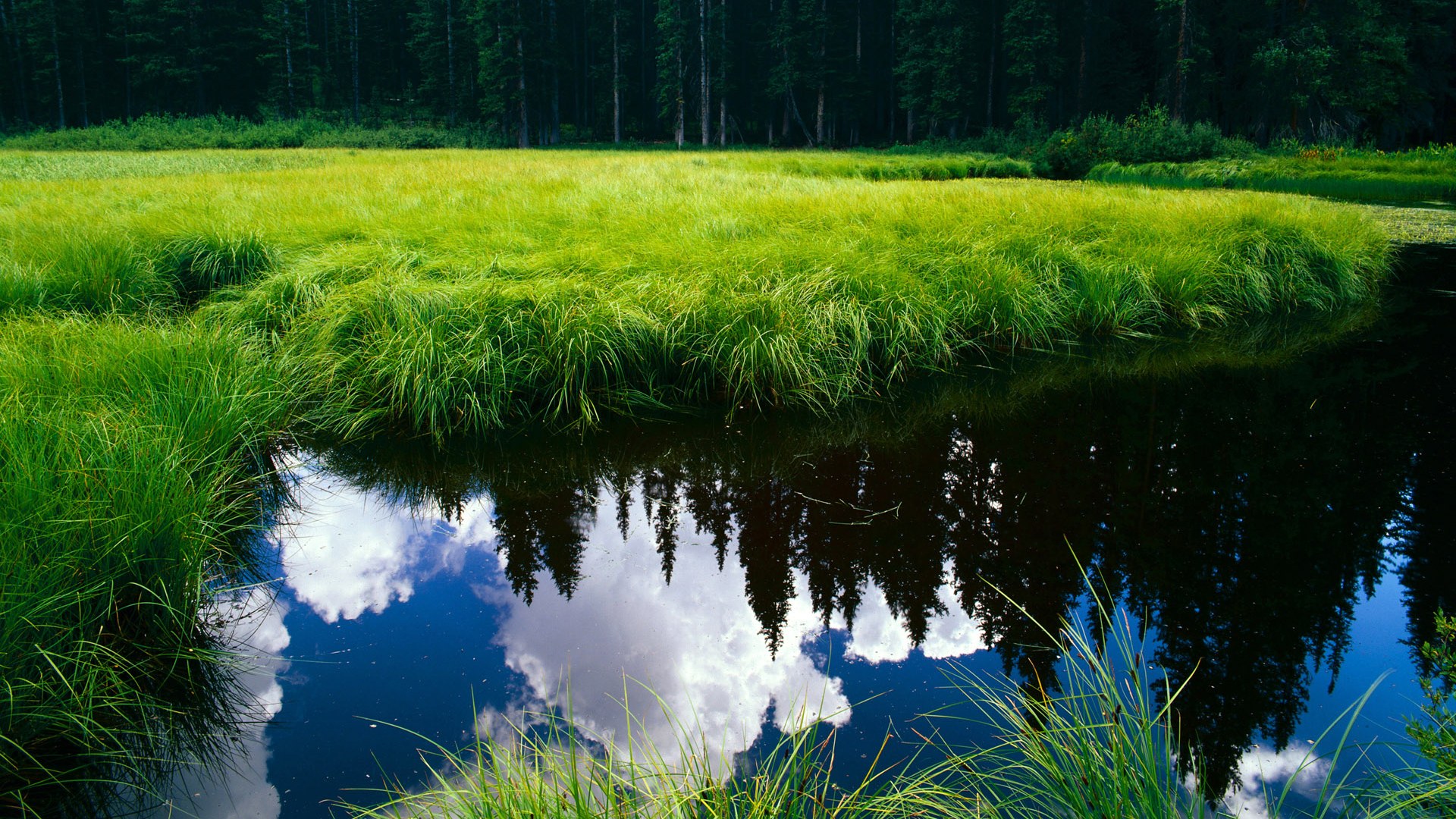 爱游戏体育（AYX）官方APP下载-联合训练对抗赛增加，国家队实战磨合提速，联合队啥意思