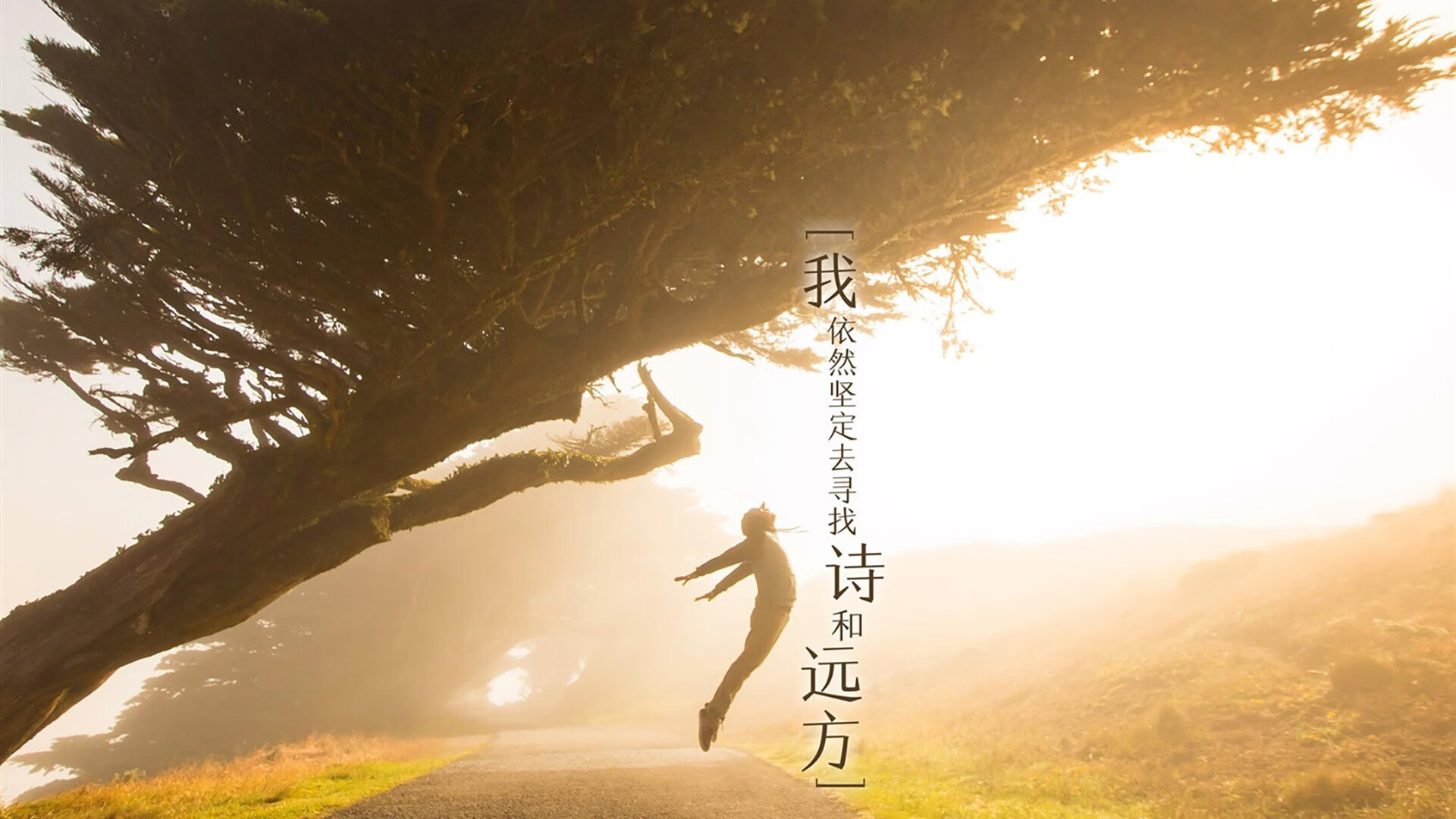 爱游戏app-陈佳三米板初登领奖台